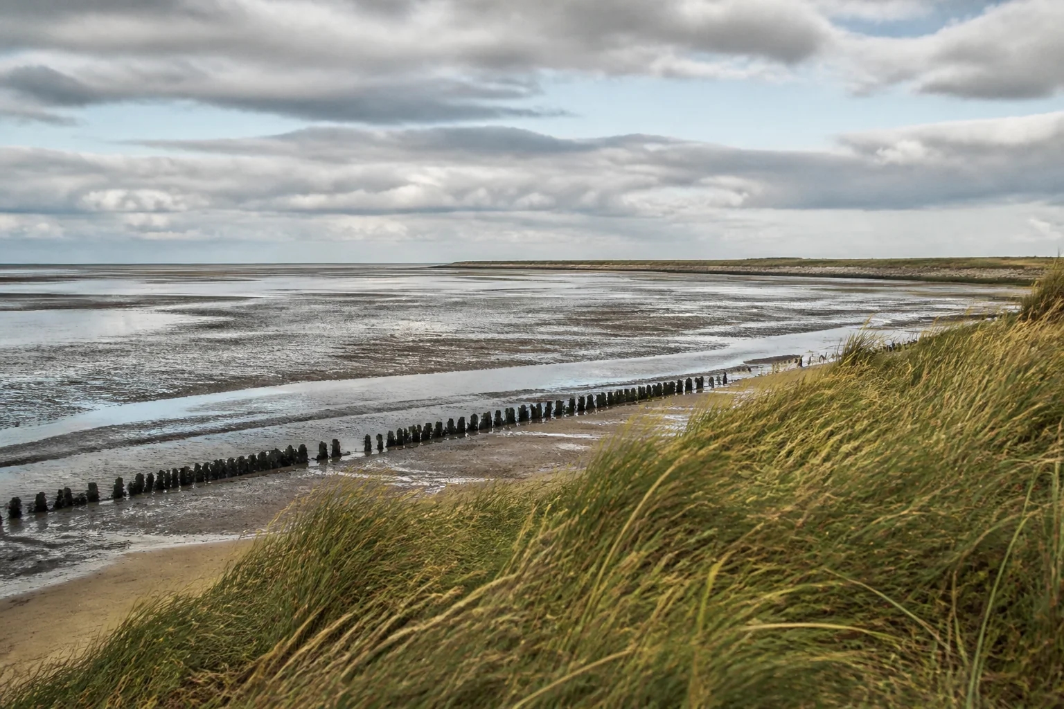 Wattenmeer bei Ebbe mit Dünengras und weitem Horizont